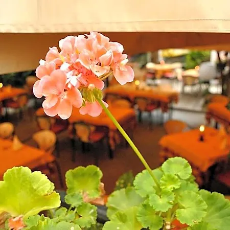 Hotel Fiorentino Hotel
