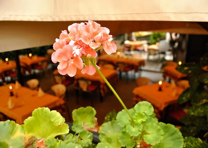 Ξενοδοχείο Fiorentino 2*