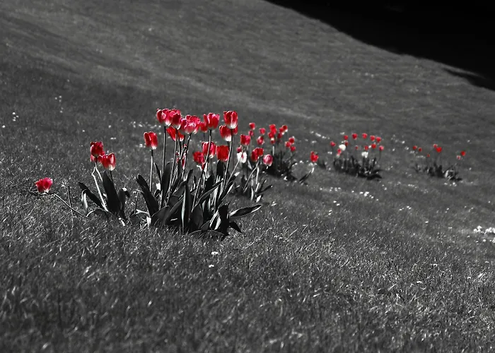 Ξενοδοχείο Fiorentino 2*
