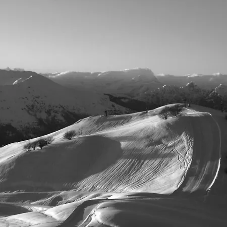 Fiorentino 2* 스트레사